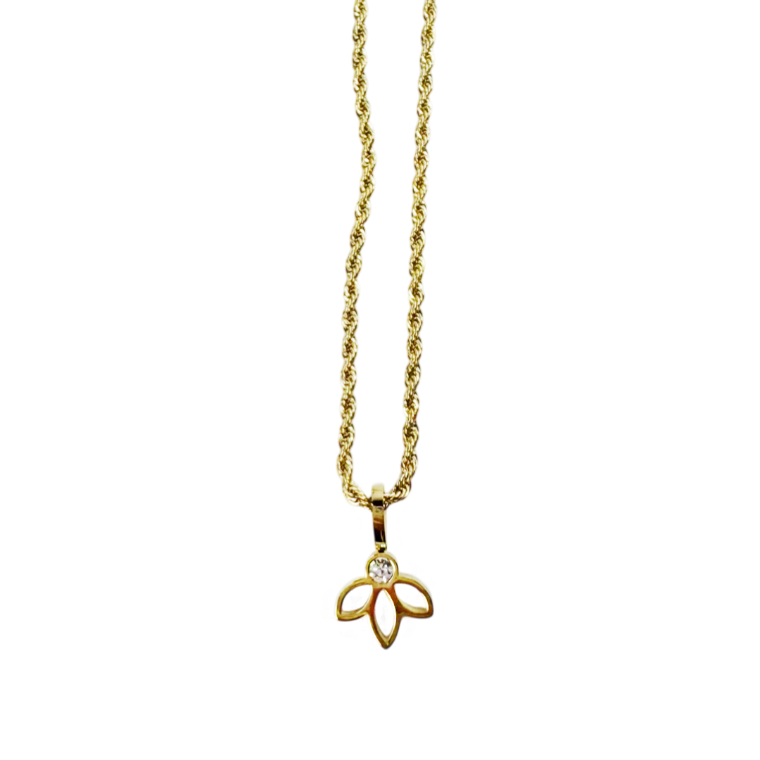 Conjunto Flora Dourado