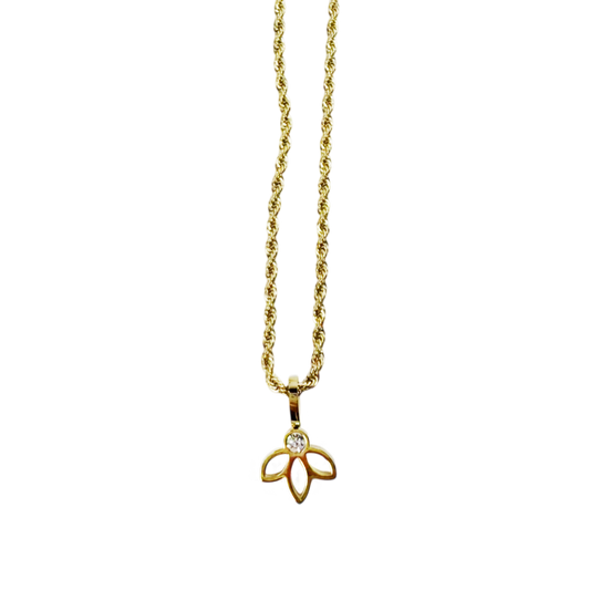 Conjunto Flora Dourado