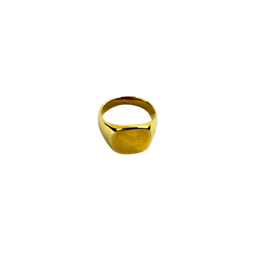 Anel Signe Dourado