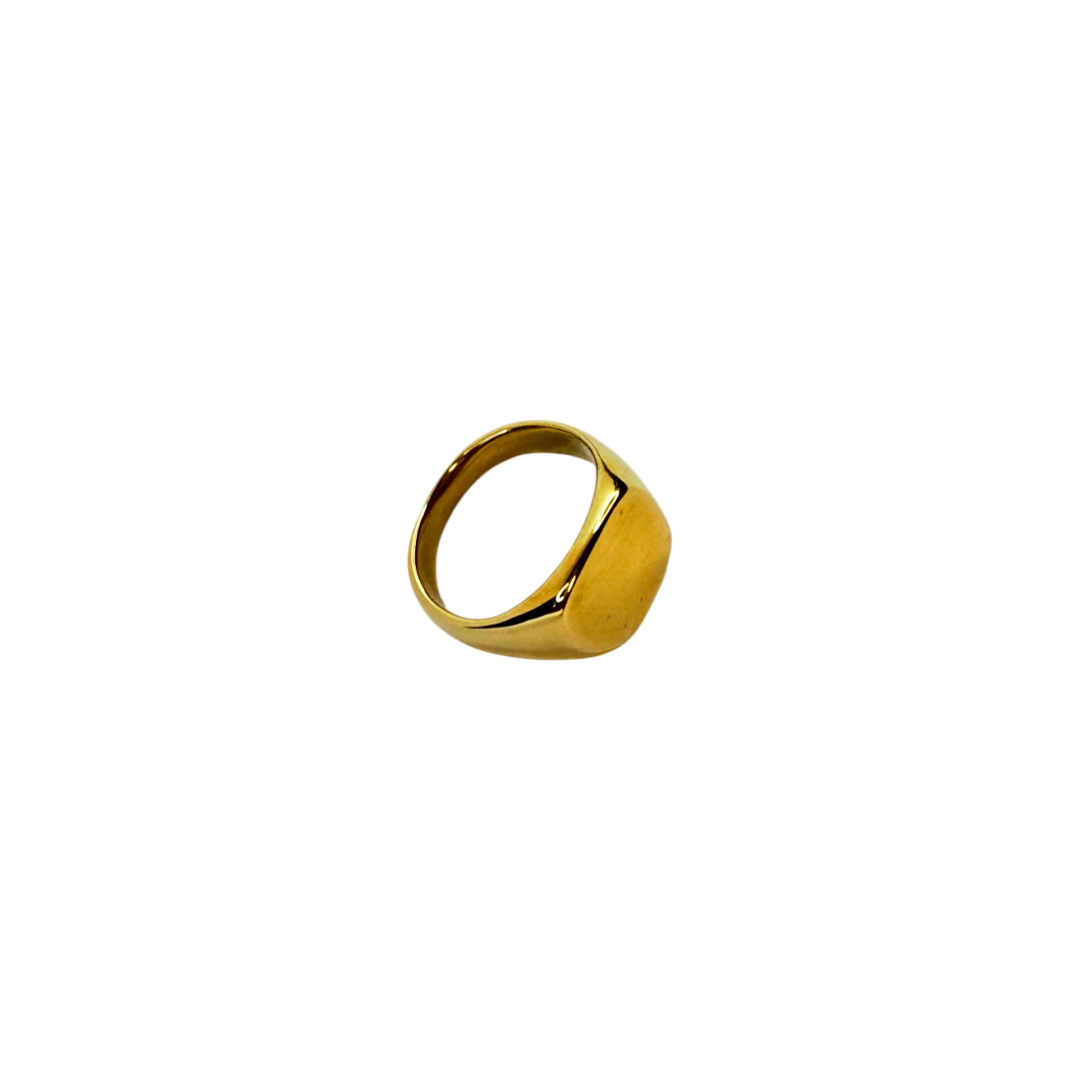 Anel Signe Dourado
