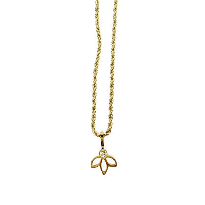 Conjunto Flora Dourado