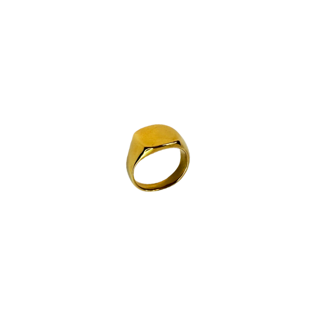 Anel Signe Dourado
