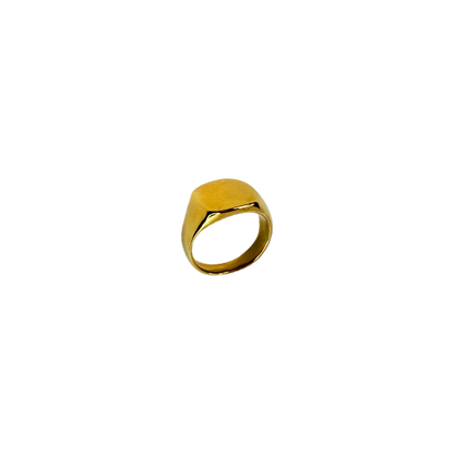 Anel Signe Dourado