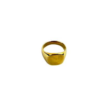Anel Signe Dourado