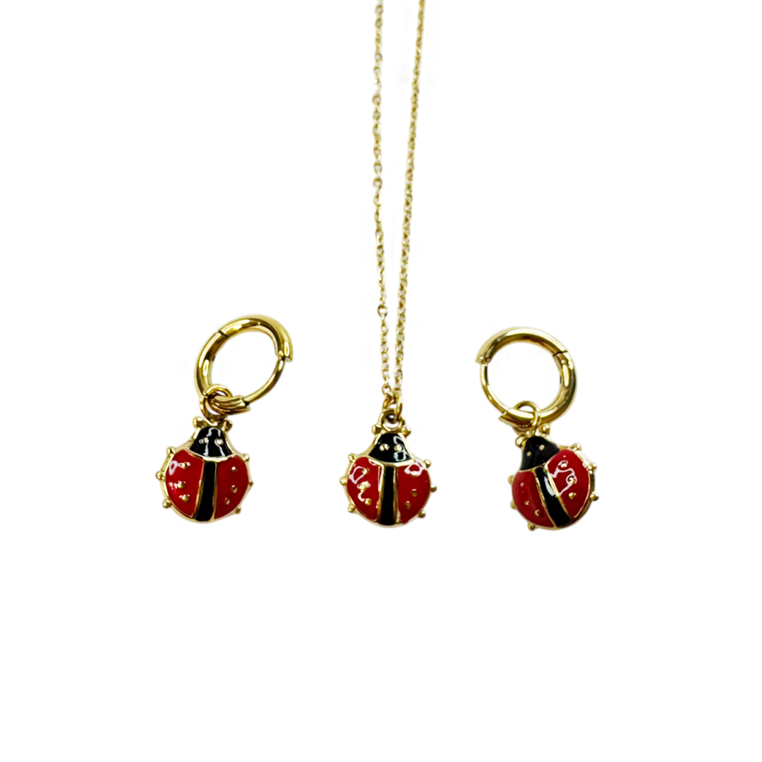 Conjunto Ladybug Love