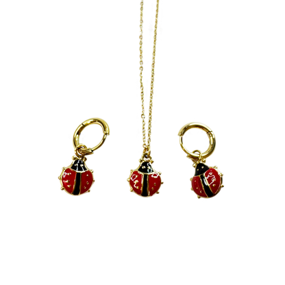 Conjunto Ladybug Love