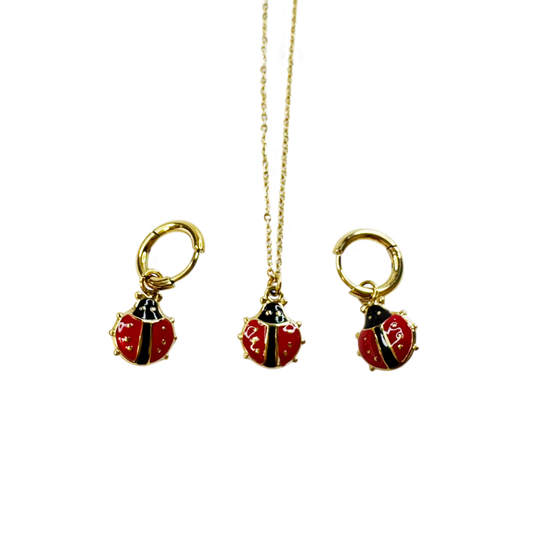 Conjunto Ladybug Love