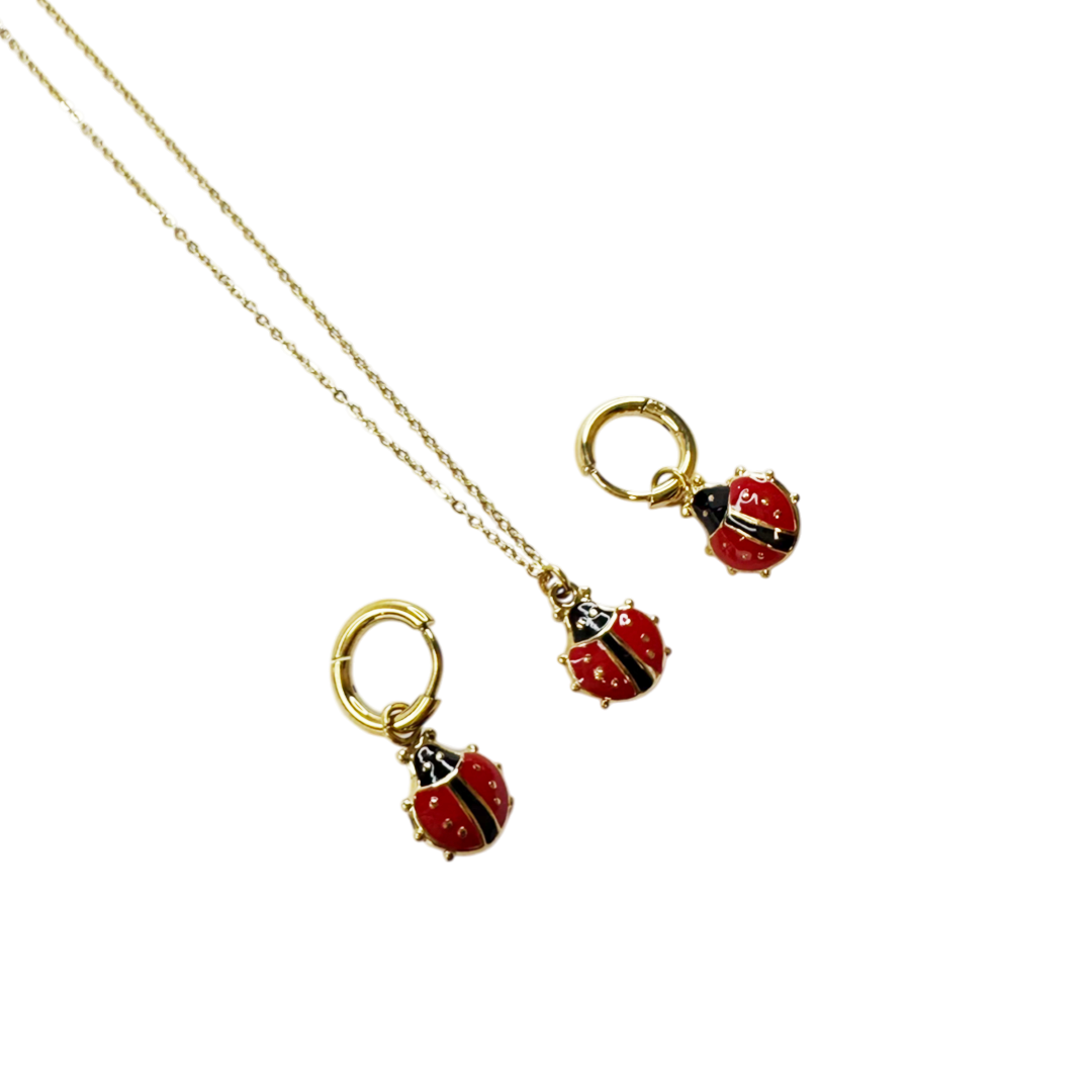 Conjunto Ladybug Love