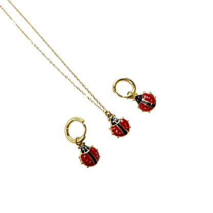Conjunto Ladybug Love