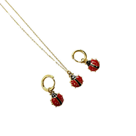 Conjunto Ladybug Love